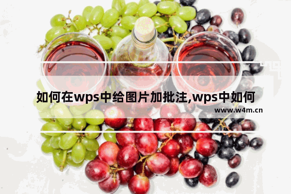 如何在wps中给图片加批注,wps中如何给图片加注释