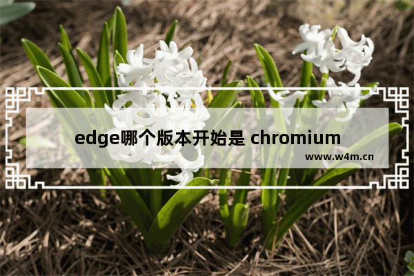 edge哪个版本开始是 chromium,chromium内核的edge浏览器