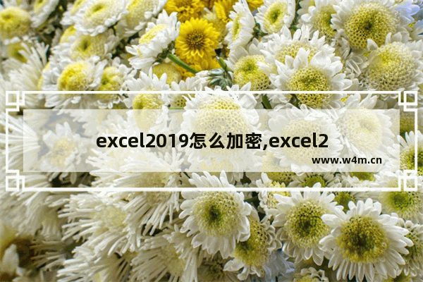 excel2019怎么加密,excel2019加密文件怎样取消加密