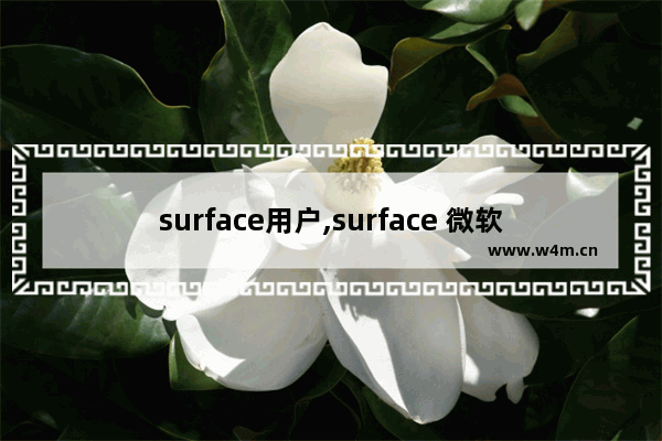 surface用户,surface 微软账户