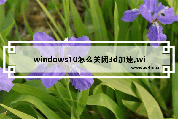 windows10怎么关闭3d加速,win103d加速怎么关闭