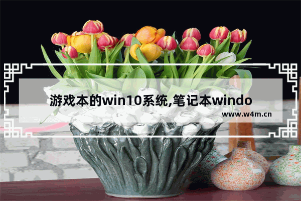 游戏本的win10系统,笔记本window10能玩什么游戏