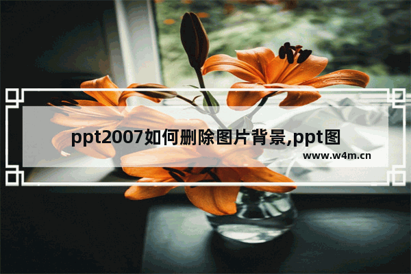 ppt2007如何删除图片背景,ppt图片如何删除图片背景