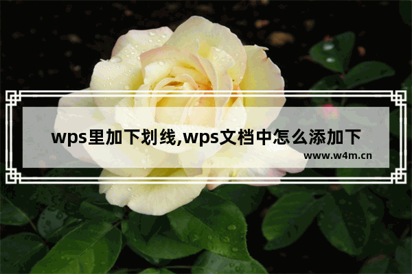 wps里加下划线,wps文档中怎么添加下划线