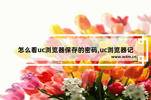 怎么看uc浏览器保存的密码,uc浏览器记住账号密码怎么清除