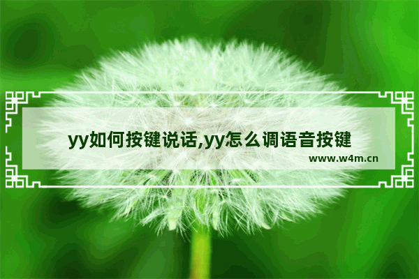 yy如何按键说话,yy怎么调语音按键