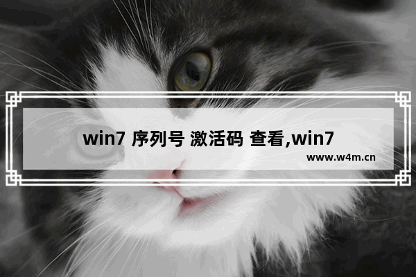 win7 序列号 激活码 查看,win7序列号(可激活所有版本)