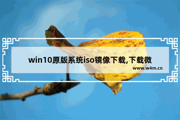 win10原版系统iso镜像下载,下载微软win10官方原版iso镜像_1