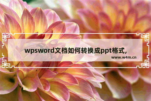 wpsword文档如何转换成ppt格式,如何把wps格式转化为ppt格式