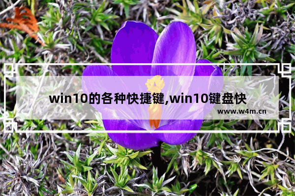 win10的各种快捷键,win10键盘快捷键