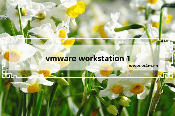 vmware workstation 16序列号,vmware workstation最新版本