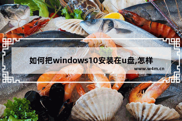 如何把windows10安装在u盘,怎样将win10系统装进U盘