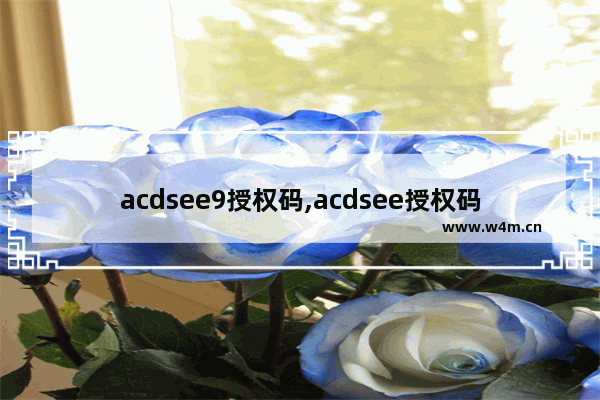 acdsee9授权码,acdsee授权码