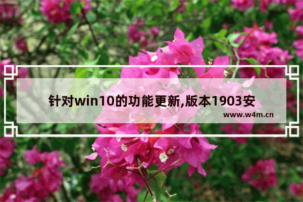 针对win10的功能更新,版本1903安装失败,win101809怎么升级到1903