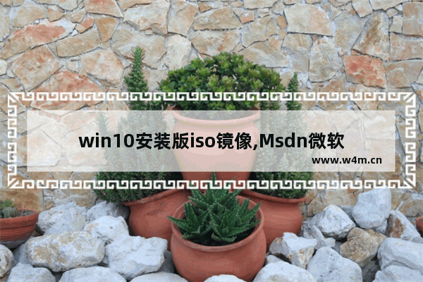 win10安装版iso镜像,Msdn微软原版Win10镜像