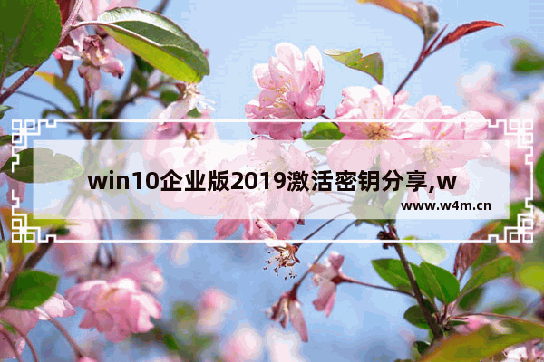 win10企业版2019激活密钥分享,windows10企业版永久激活密钥分享