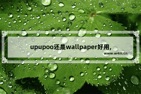 upupoo还是wallpaper好用,upupoo好还是wall engine好