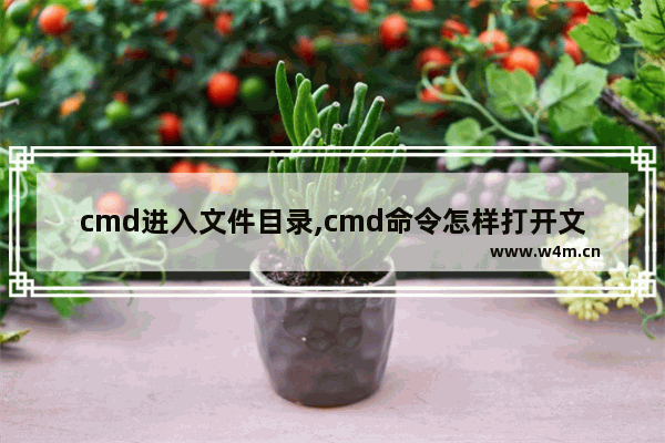 cmd进入文件目录,cmd命令怎样打开文件和目录