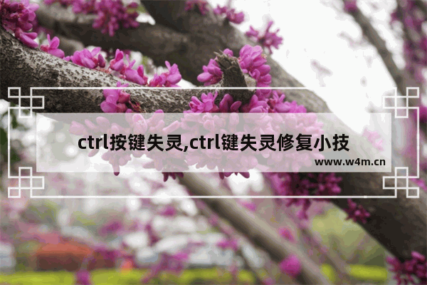 ctrl按键失灵,ctrl键失灵修复小技巧