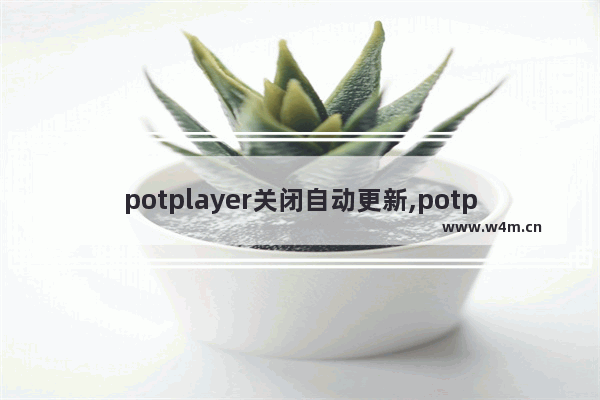 potplayer关闭自动更新,potplayer停止更新