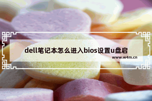 dell笔记本怎么进入bios设置u盘启动项,dell台式u盘启动bios设置方法