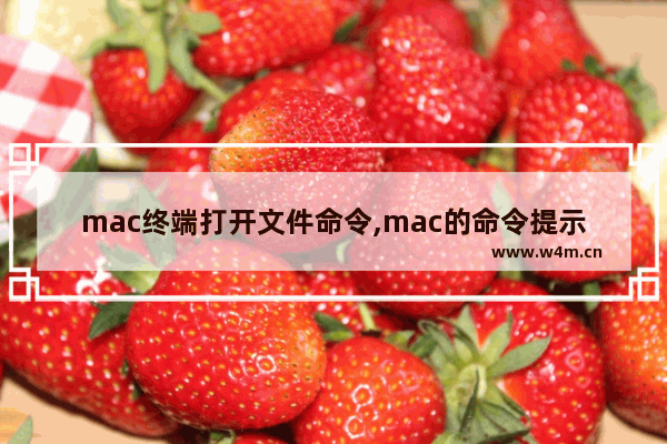 mac终端打开文件命令,mac的命令提示符窗口