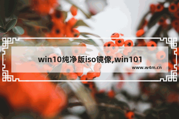 win10纯净版iso镜像,win101909镜像