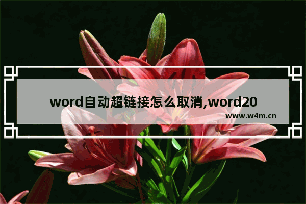 word自动超链接怎么取消,word2016取消超链接