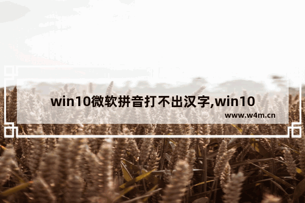 win10微软拼音打不出汉字,win10微软拼音输入法打不出中文