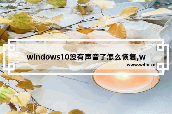 windows10没有声音了怎么恢复,win10声音有回音怎么调