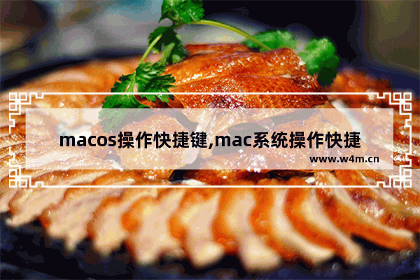 macos操作快捷键,mac系统操作快捷键