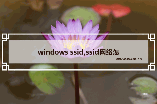 windows ssid,ssid网络怎么设置