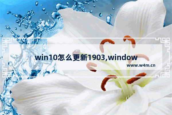 win10怎么更新1903,windows10 1903更新