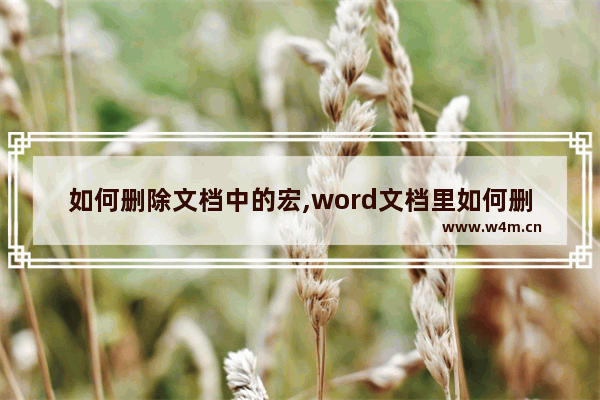 如何删除文档中的宏,word文档里如何删除回车符