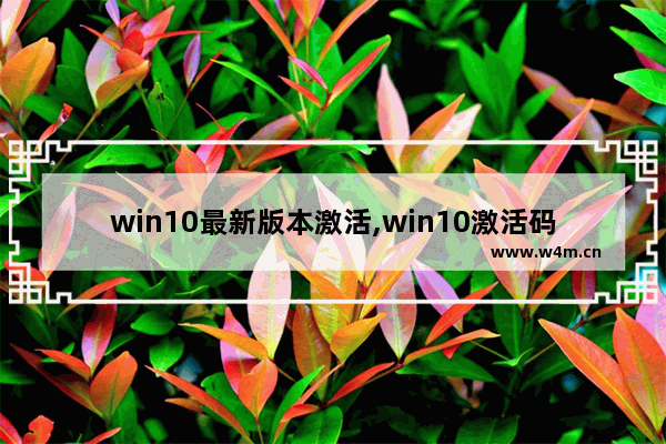 win10最新版本激活,win10激活码2019