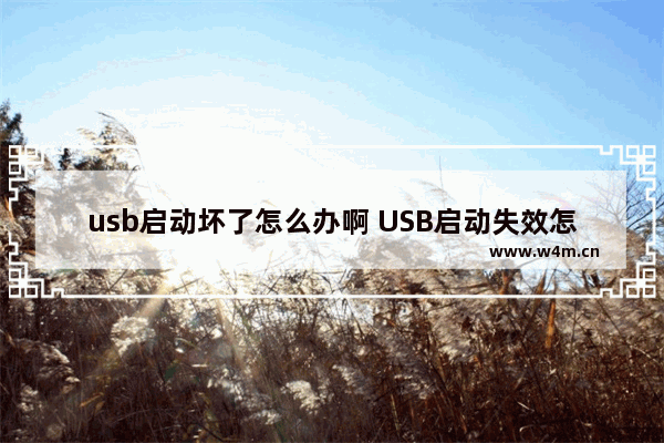 usb启动坏了怎么办啊 USB启动失效怎么处理？