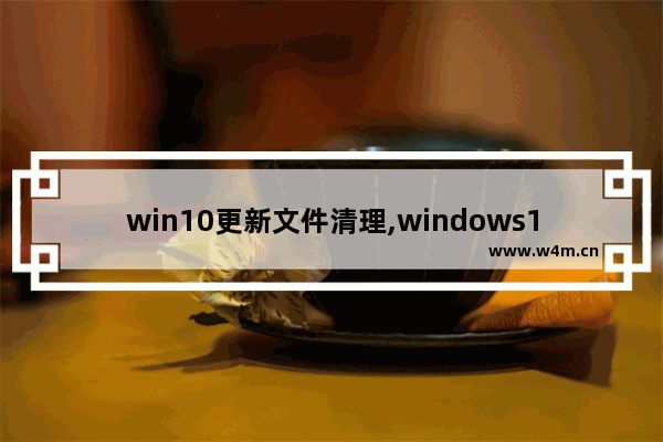 win10更新文件清理,windows10更新清理