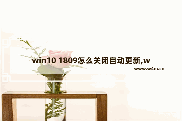 win10 1809怎么关闭自动更新,win101909强制更新