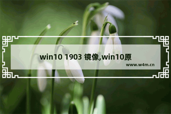 win10 1903 镜像,win10原版系统iso镜像下载