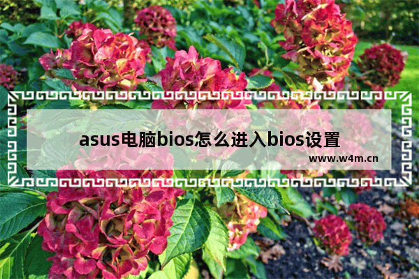 asus电脑bios怎么进入bios设置 如何进入ASUS电脑的BIOS设置？