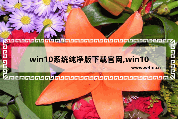 win10系统纯净版下载官网,win10专业版纯净系统下载