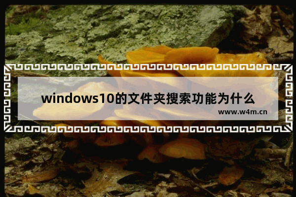 windows10的文件夹搜索功能为什么那么慢,为什么windows搜索文件慢