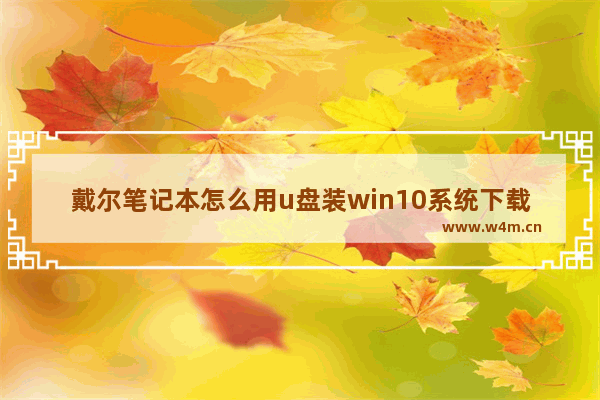 戴尔笔记本怎么用u盘装win10系统下载 使用U盘安装Win10系统的方法 新标题