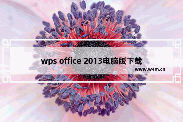 wps office 2013电脑版下载,电脑安装wps2010