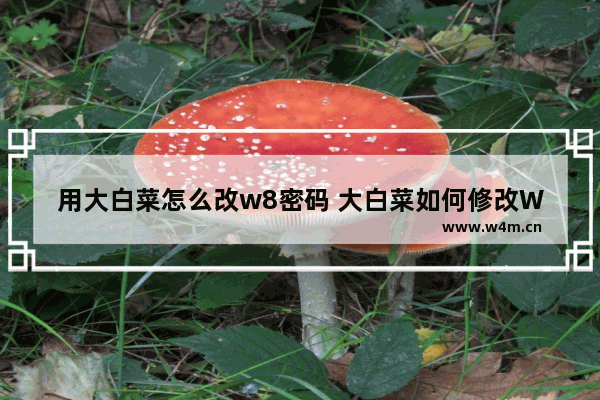 用大白菜怎么改w8密码 大白菜如何修改W8密码