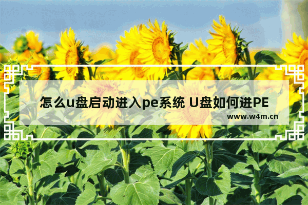 怎么u盘启动进入pe系统 U盘如何进PE系统启动