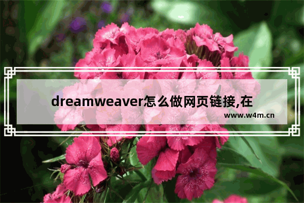 dreamweaver怎么做网页链接,在dreamweaver中要添加超级链接必须要怎么样