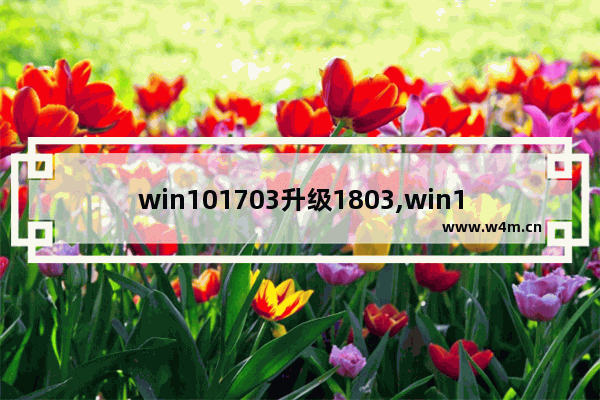 win101703升级1803,win10 1809升级1903