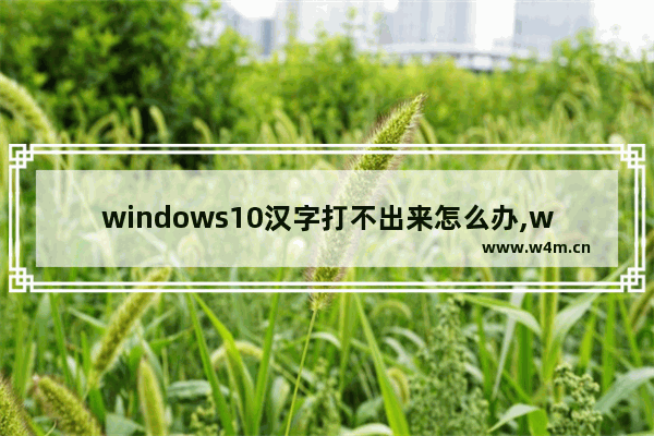 windows10汉字打不出来怎么办,win11输入法不见了无法打字