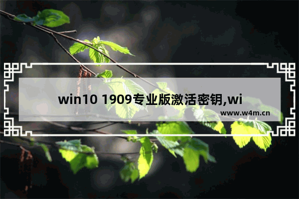 win10 1909专业版激活密钥,win10最新版本1909下载